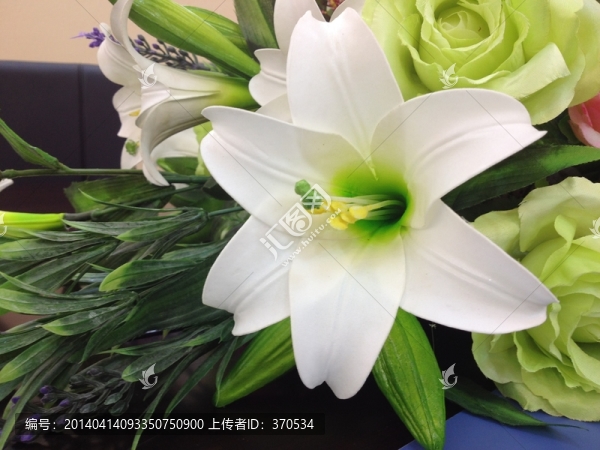 鮮花,花卉,鮮艷,節(jié)日,裝飾