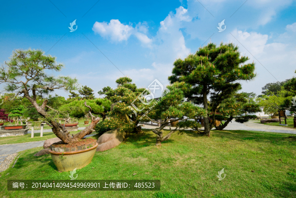 安徽鮑家花園