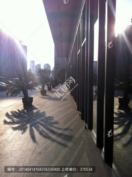 上海,浦東,都市街道,現(xiàn)代建筑