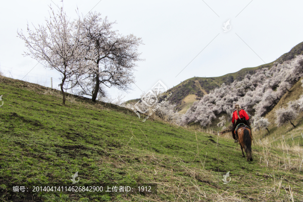 山野