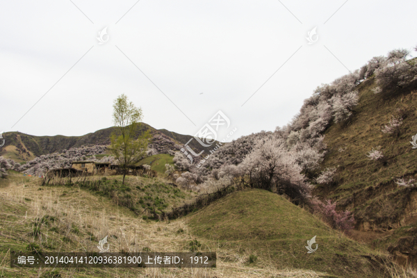 山野