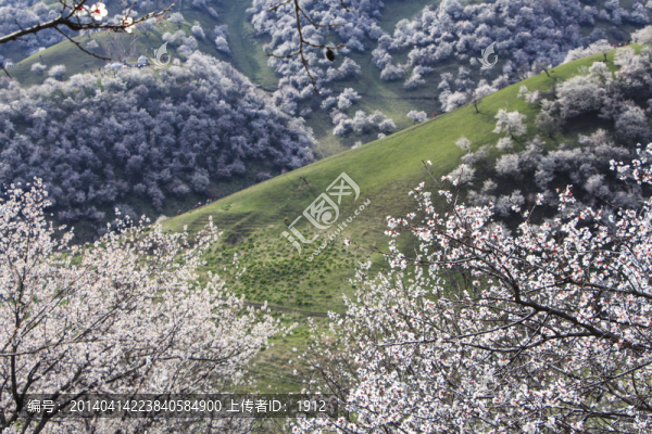 杏花溝