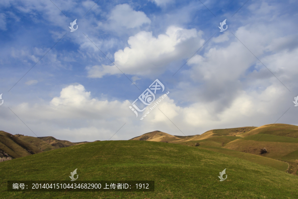 起伏的山坡