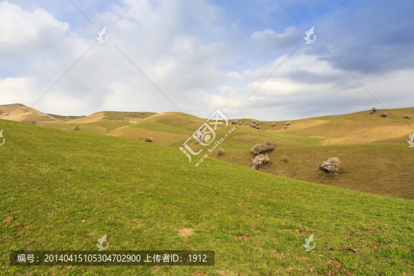 綠山坡