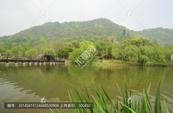 景區(qū),橋