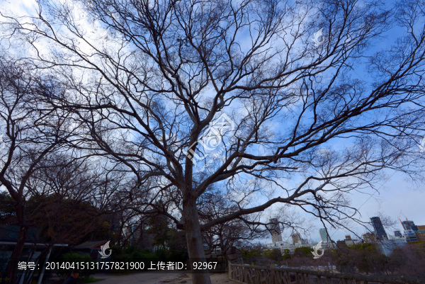 大阪城,天守閣
