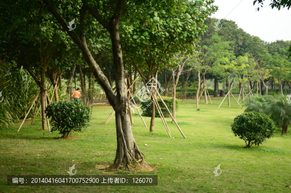 公園景觀