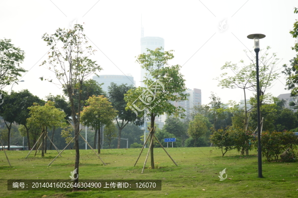 中心公園