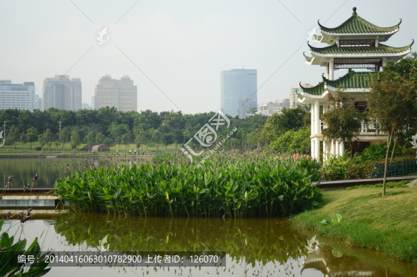 公園一角