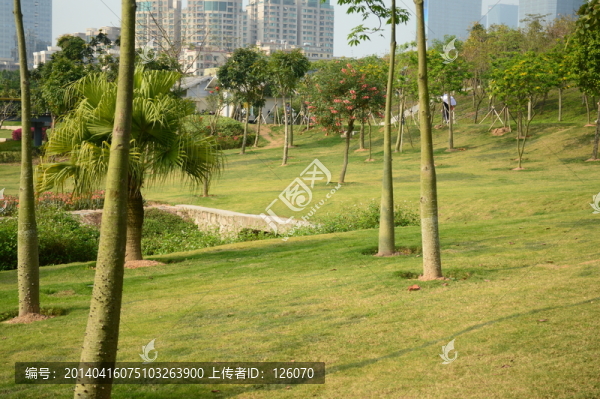 公園一角