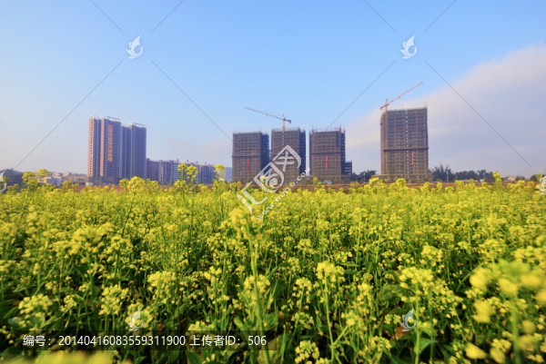 城市建設(shè)