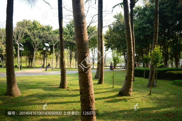 樹林公園