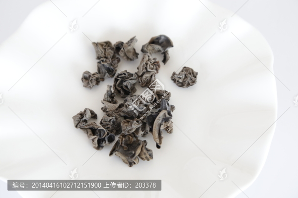 木耳