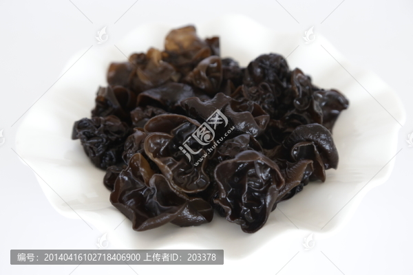 木耳