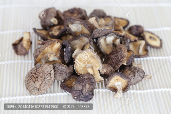 香菇