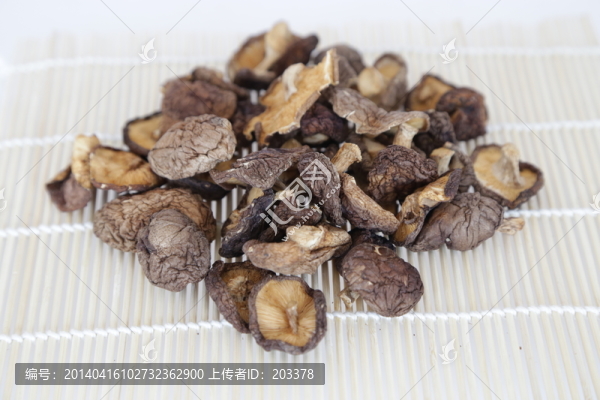 香菇