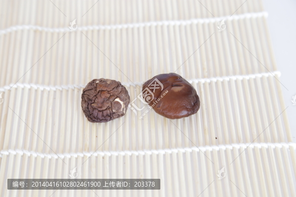 香菇