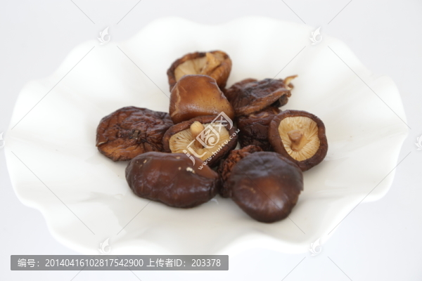 香菇
