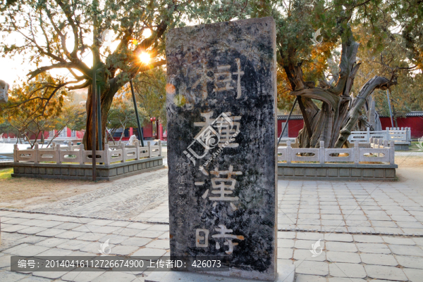 泰山岱廟漢柏院