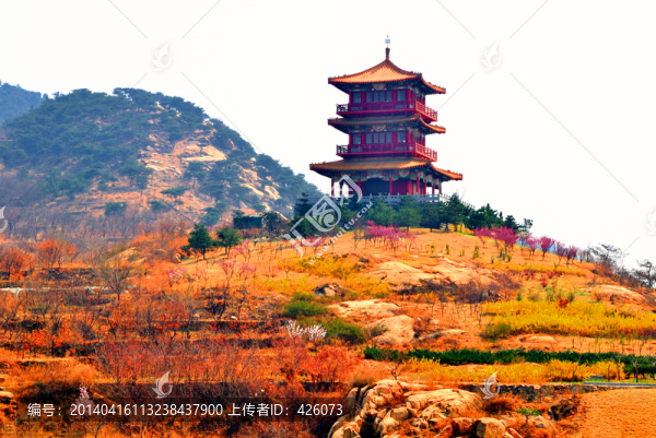 山坡上的古式樓閣