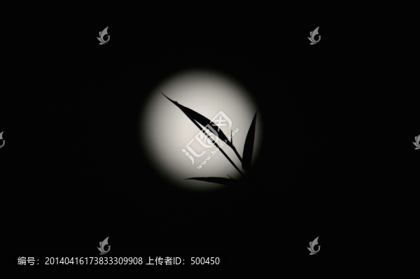 竹葉,剪影
