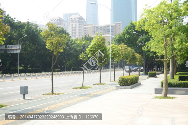 公路邊上的樹