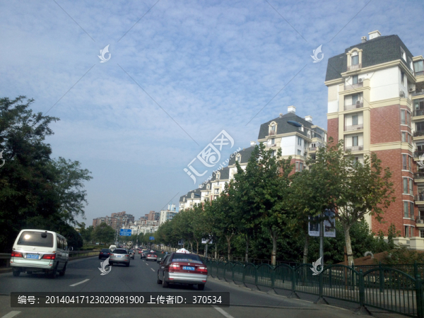 上海,浦東,都市