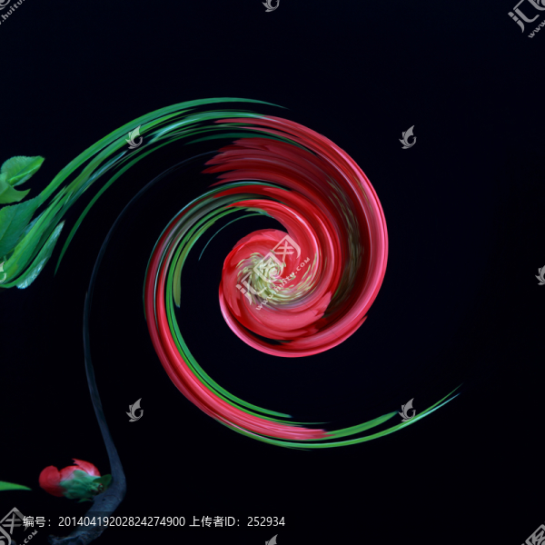 特效花卉