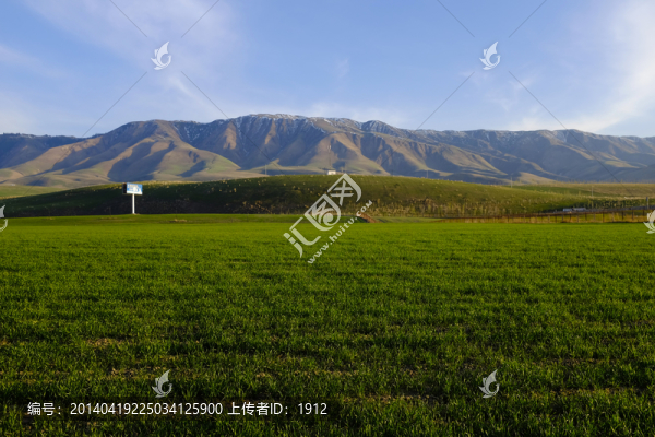 田野