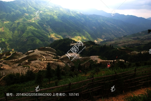 龍勝梯田