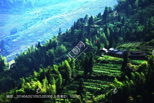 龍勝梯田