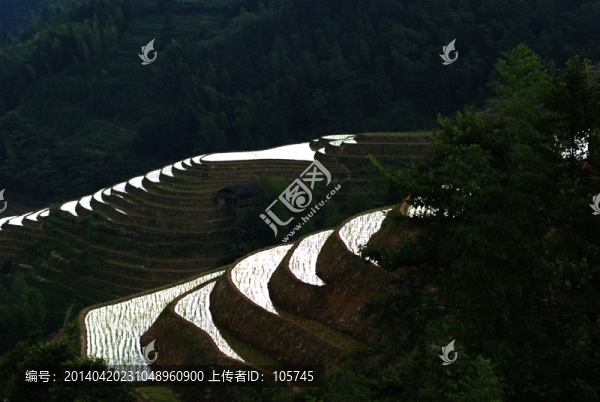 龍勝梯田