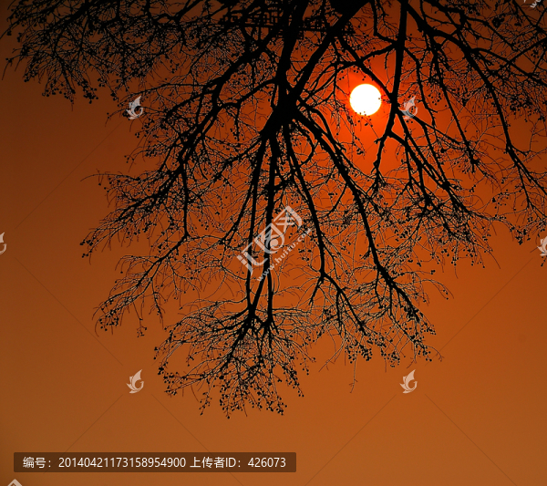 落日夕陽(yáng)