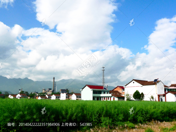 工農(nóng)業(yè)