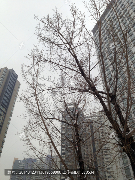 北京,城市,雪景,街道,社區(qū)