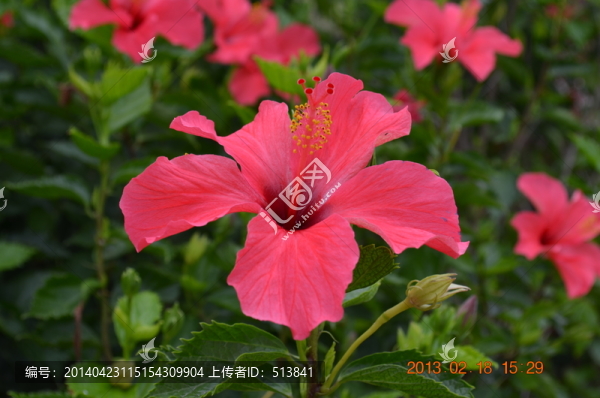 扶?；? title=