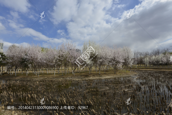 長白島