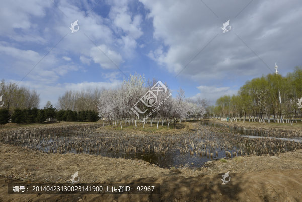 長(zhǎng)白島