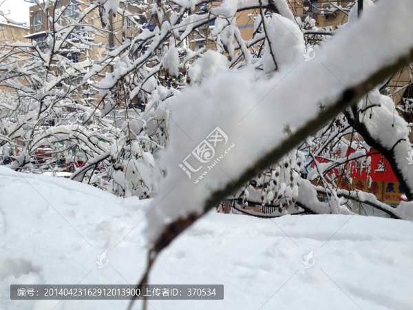 南京,城市雪景