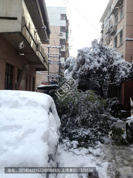 南京,城市雪景