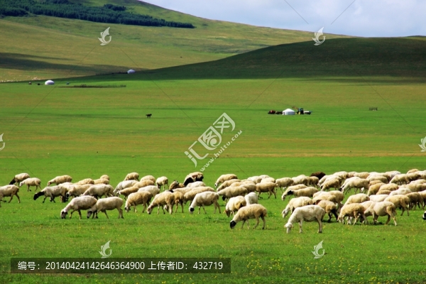 呼倫貝爾草原牧場