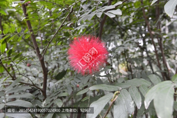 越秀公園