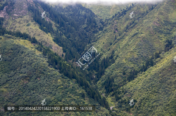 四川黃龍