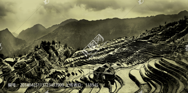 加榜梯田