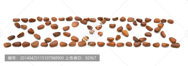 松子造型