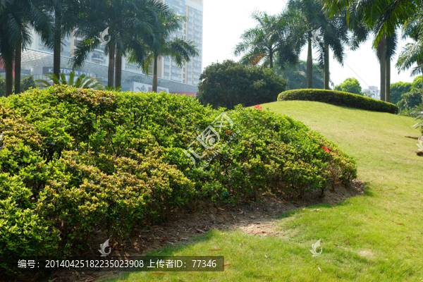 東莞人民公園綠化