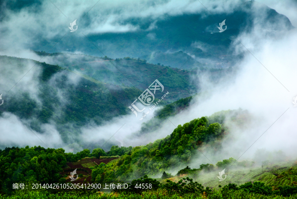 山