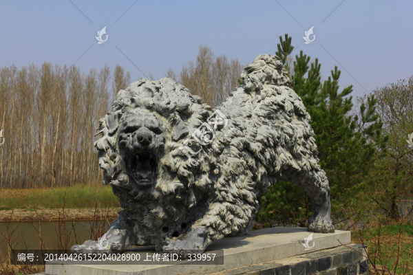 藏獒