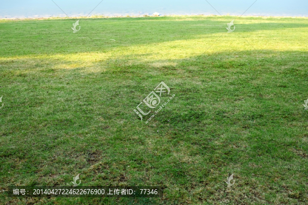 湖邊陽光草地
