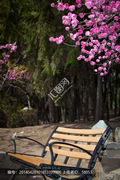 公園的長椅